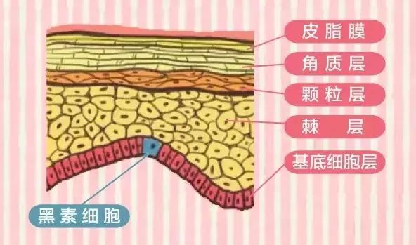 有没有靠谱的美白丸,美白丸和美白针哪个更好