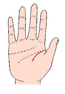 看手相可以预测什么,手相能预测考试吗