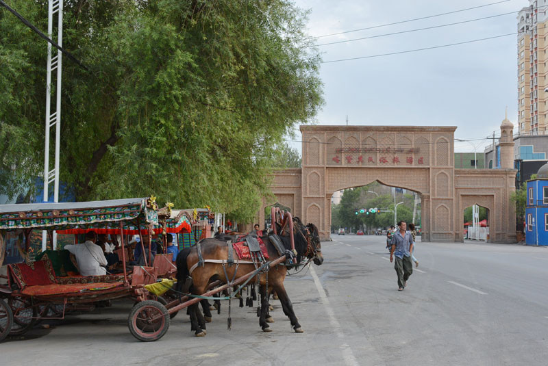 梵高画不出的向日葵,梵高画中的风景