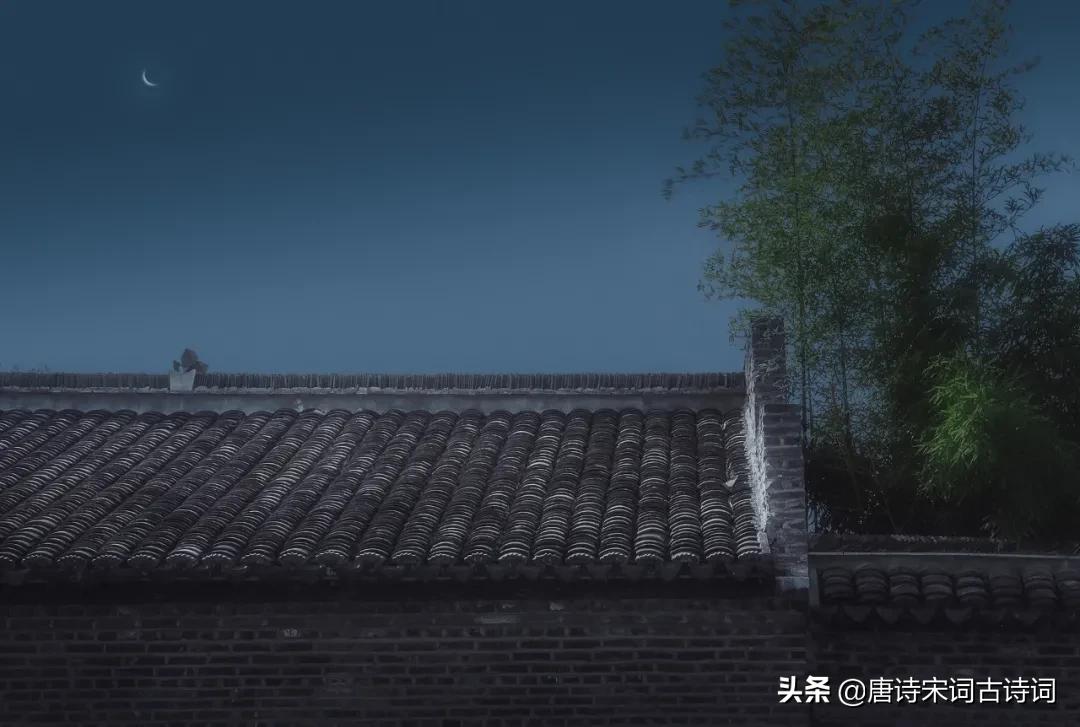 秋天最美的月光,秋天不可错过的枫叶