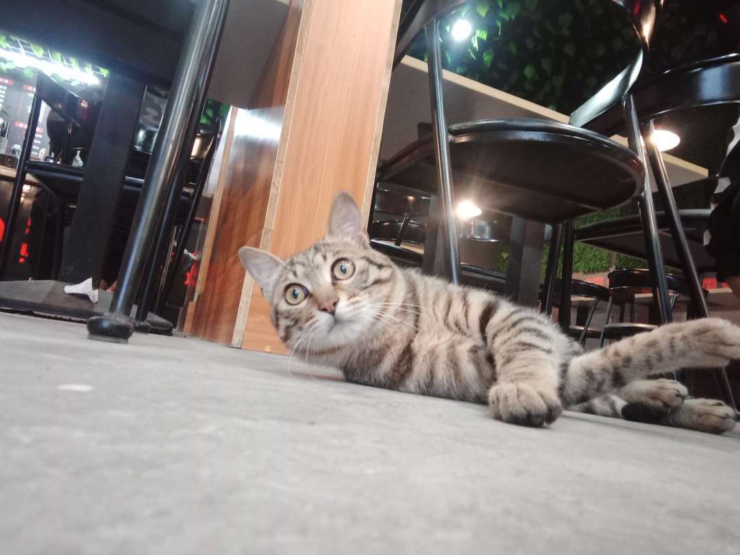 怎么*拍偷**小哥哥不被发现？Reno用户脑洞大开，10倍变焦玩出新花样