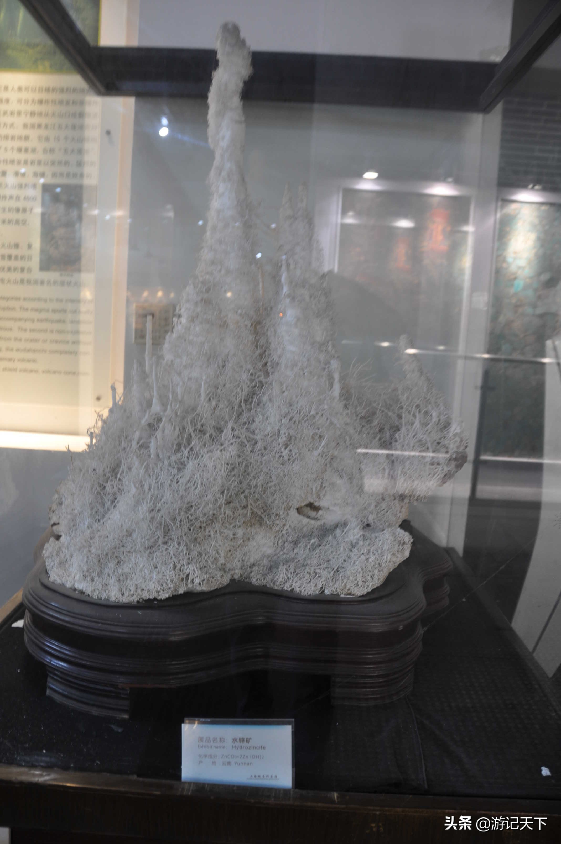 参观上海东方地质科普馆,上海东方地质科普馆需要预约吗