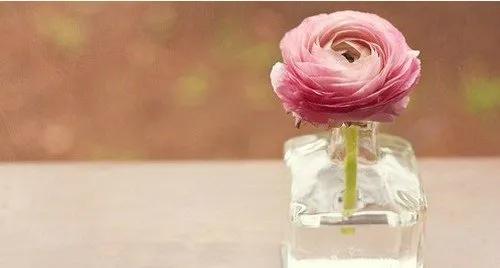 女性炎症私护的正确做法,女性有了炎症需要及时处理吗