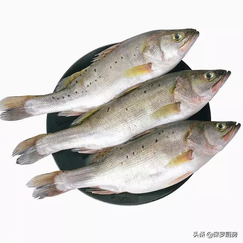 海鲜大荟萃,常见贝壳类海鲜