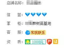 宿迁神苗淘宝,宿迁神苗真假对比