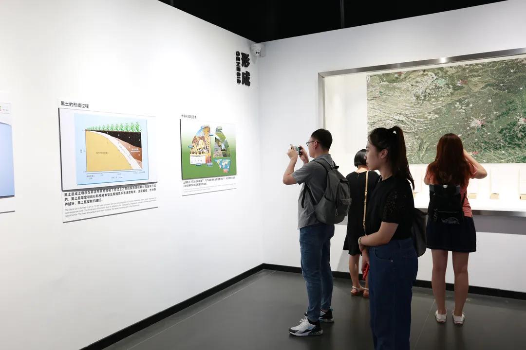 大熊猫这么可爱大家喜欢它吗,耕地中的大熊猫吃什么