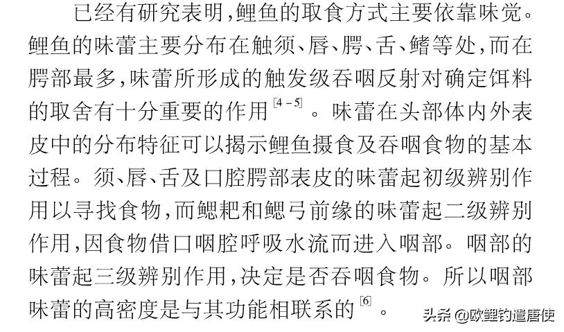 有哪些基础钓法初学者要学会,新手最稳妥的一种钓法