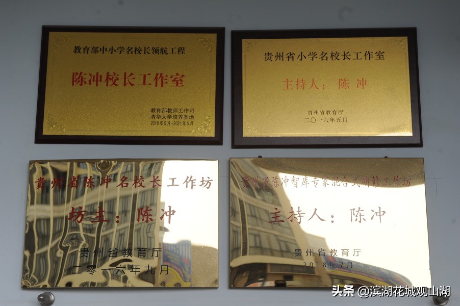 我的入党故事学生篇,入党初心分享入党故事