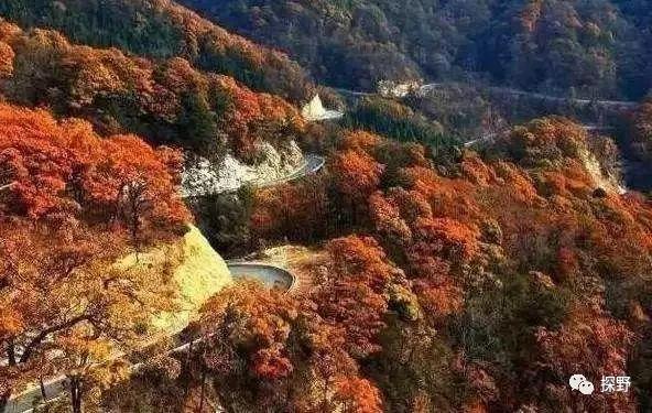 安徽自驾游十大必去景点,安徽自驾游最佳旅游路线推荐