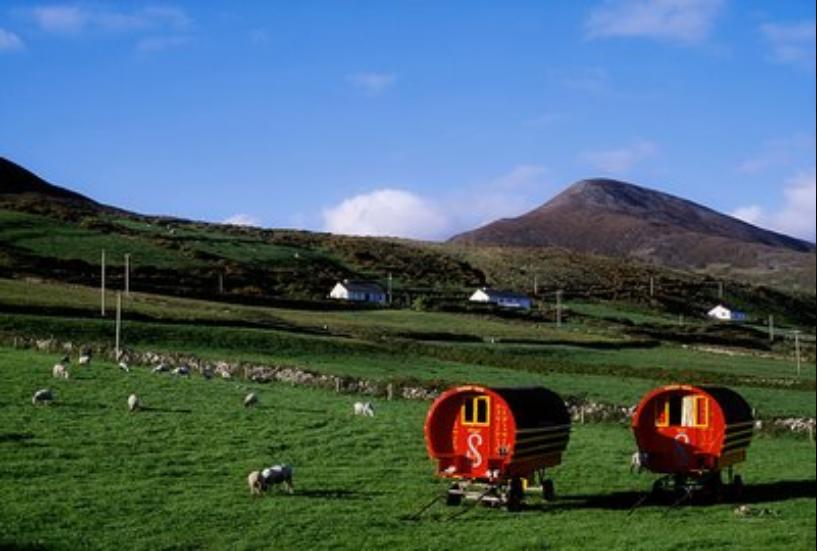 文化到底能有多可怕,文化一定很重要吗