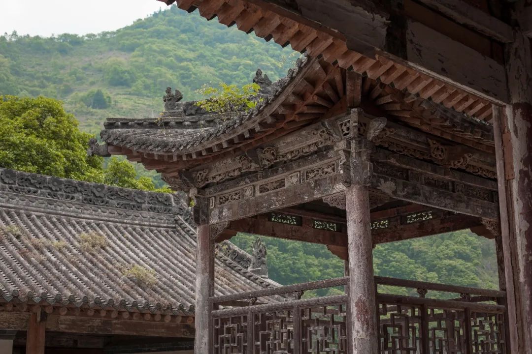 中茶和紫阳茶,紫阳的茶好还是平利的茶好