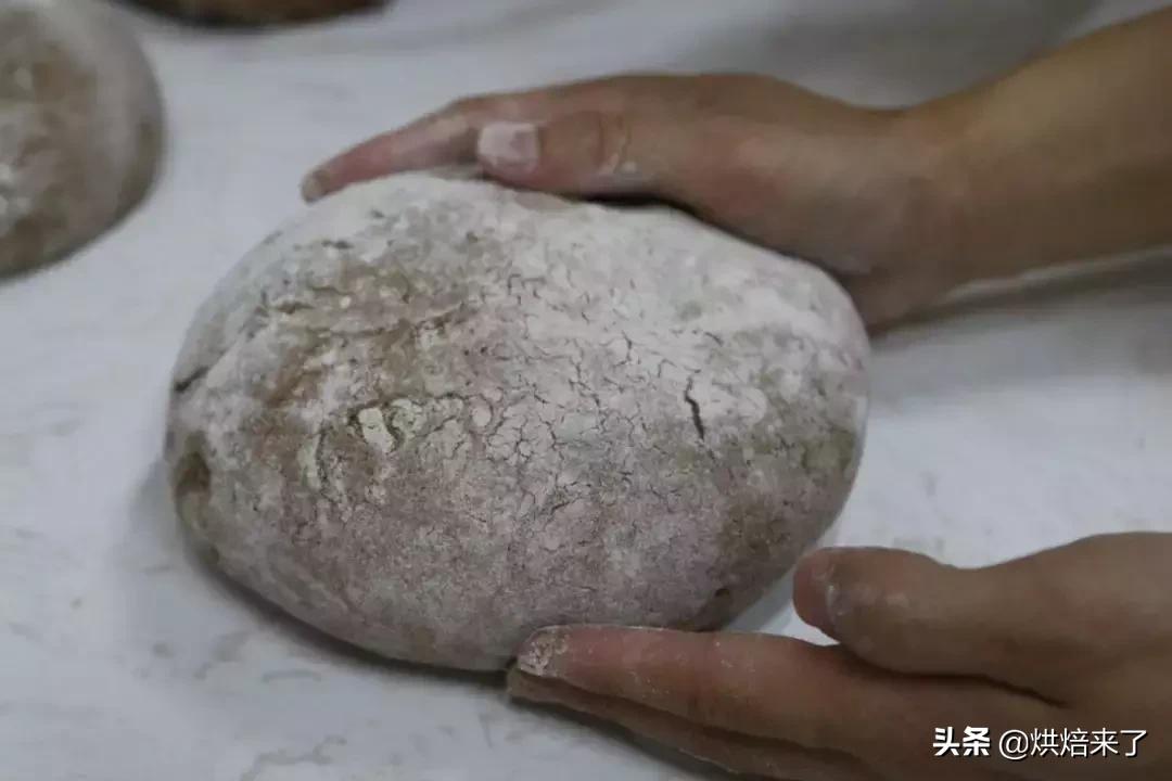 德国黑麦酸面包 (德国黑麦酸面包怎么吃)