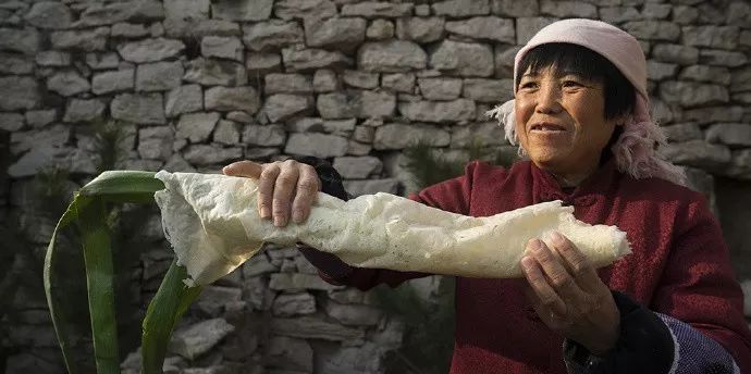 葱是菜还是调料,葱是荤