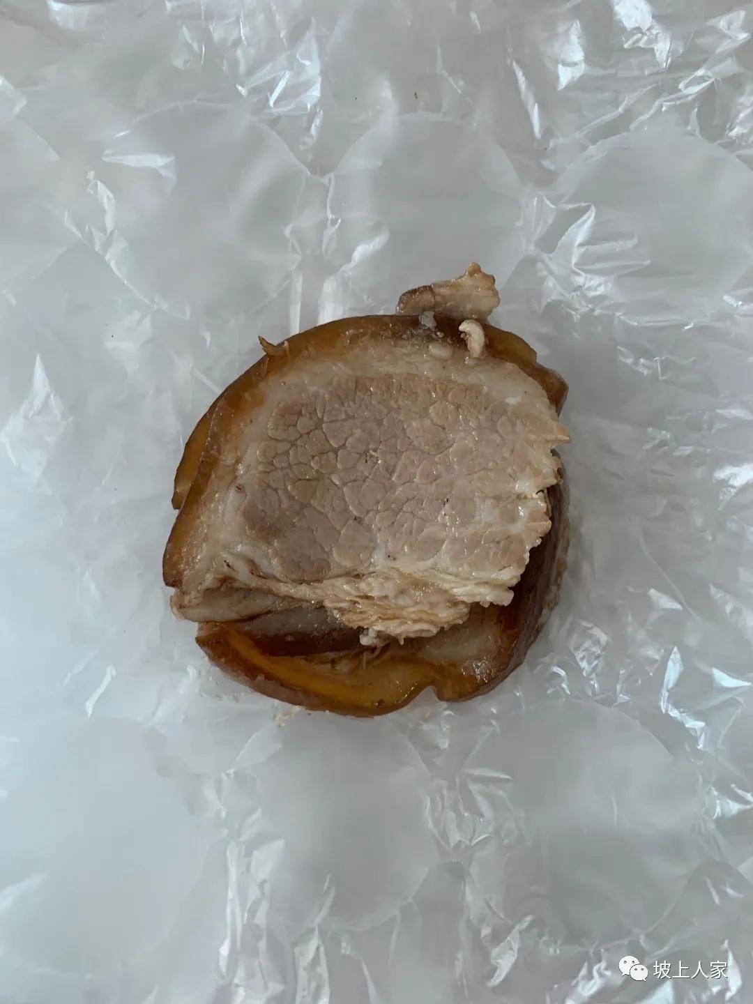 一只宠物猫在外面可以活多久,单独养一只猫它会孤独吗