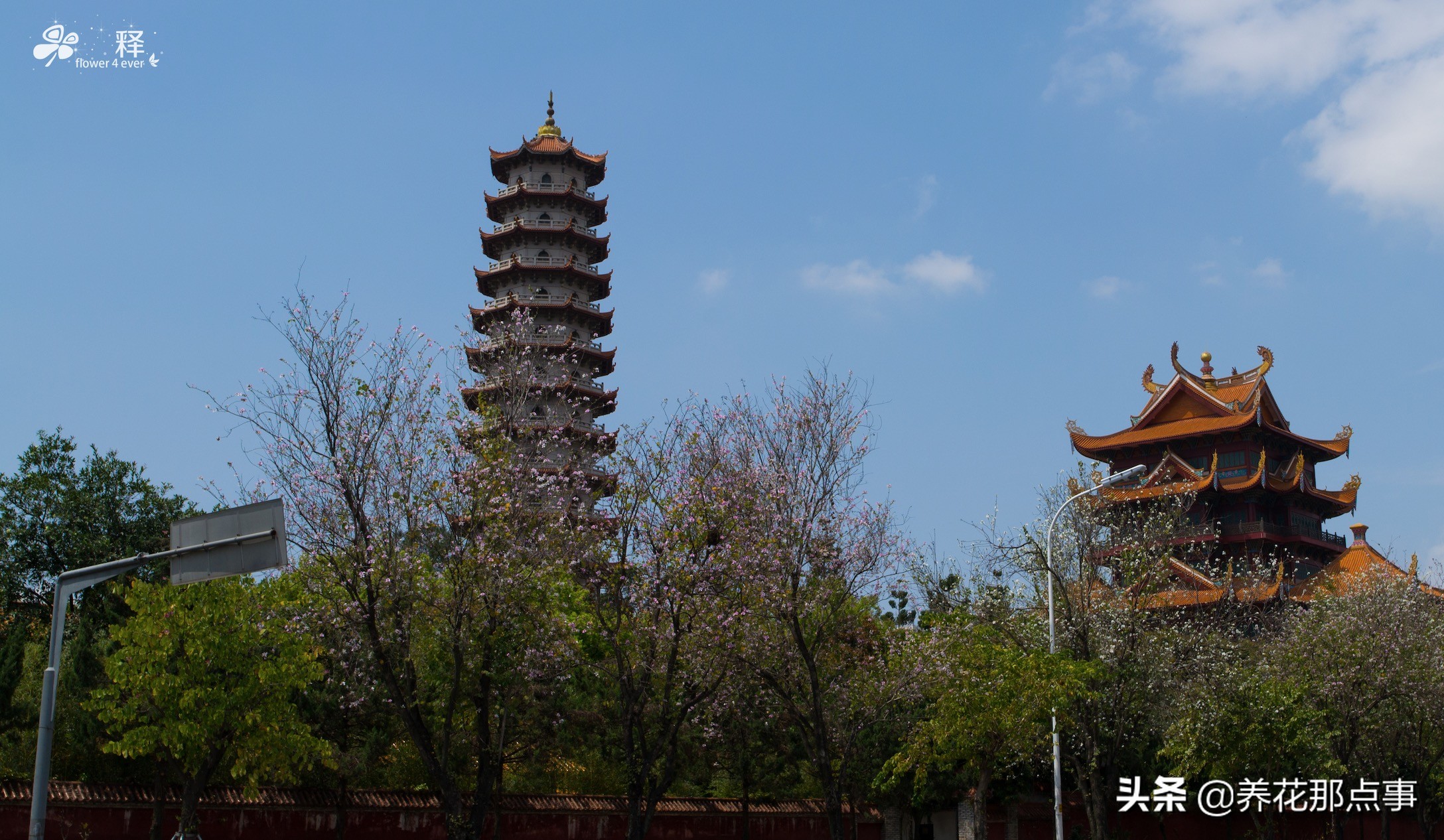 福州景点旅游视频,去福州旅游自由行攻略图