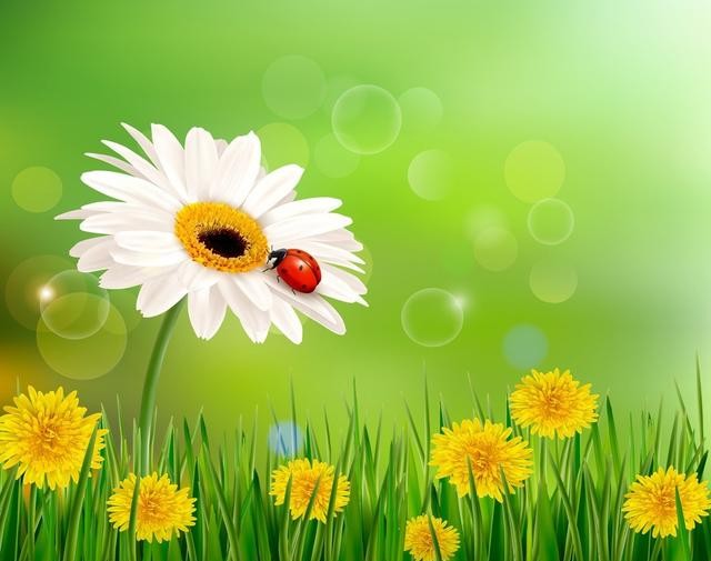 贾茂兴朗读,贾茂兴的经典散文