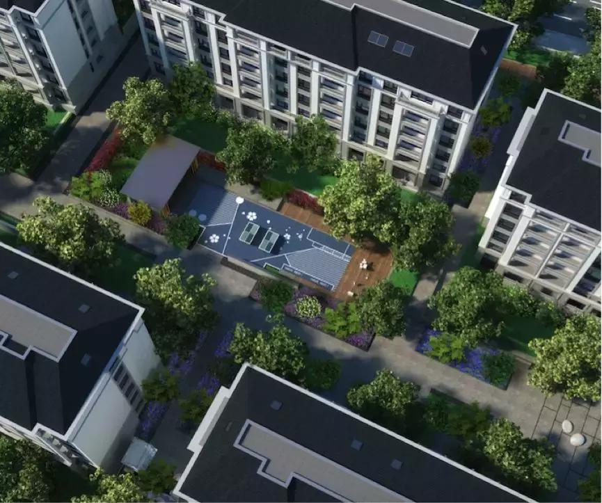 绿城海棠的缺点烟台,绿城海棠的缺点