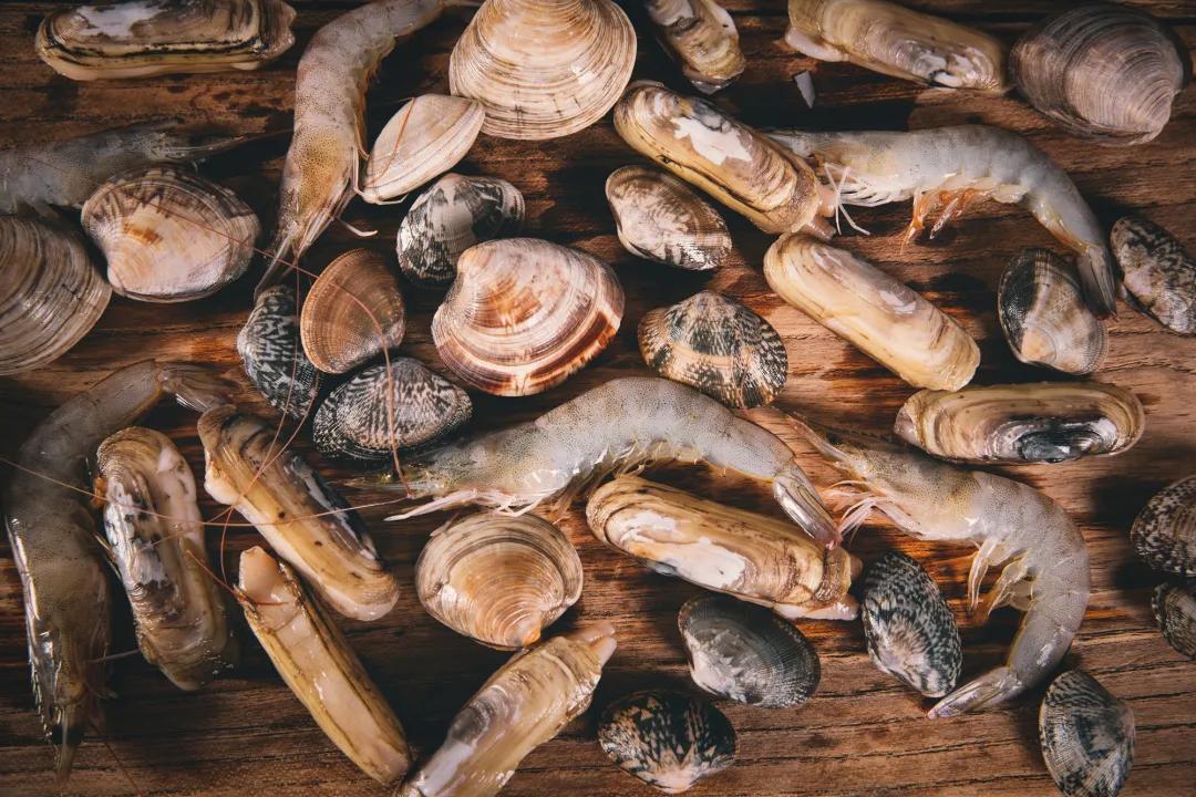 蚬子蛏子蛤蜊什么区别,长条的蛤蜊蛏子叫什么