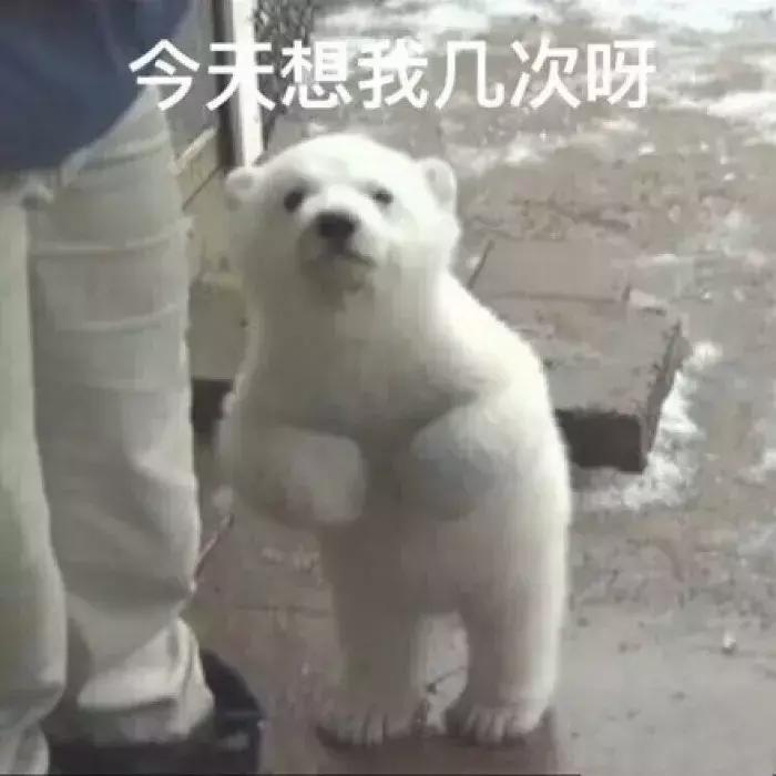 谐星也能变偶像，给兄弟戴绿帽的他还怪癖多多