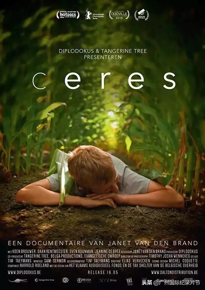 全国各地大型纪录片,2022年已上映的10部大片