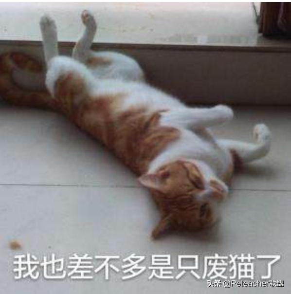 体育生怎样才能快速提高跑步成绩,如何跑步快而不累1000米学生