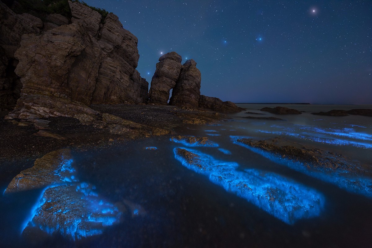 拍摄荧光海滩参数和技巧,夜晚怎么拍荧光海