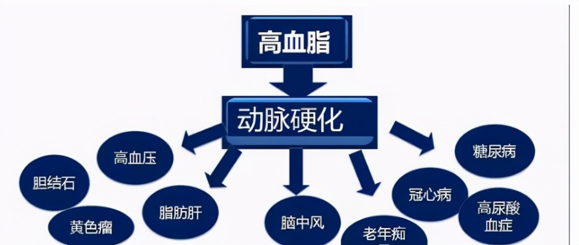 高脂血症中医案例,中医治疗胆固醇高效果