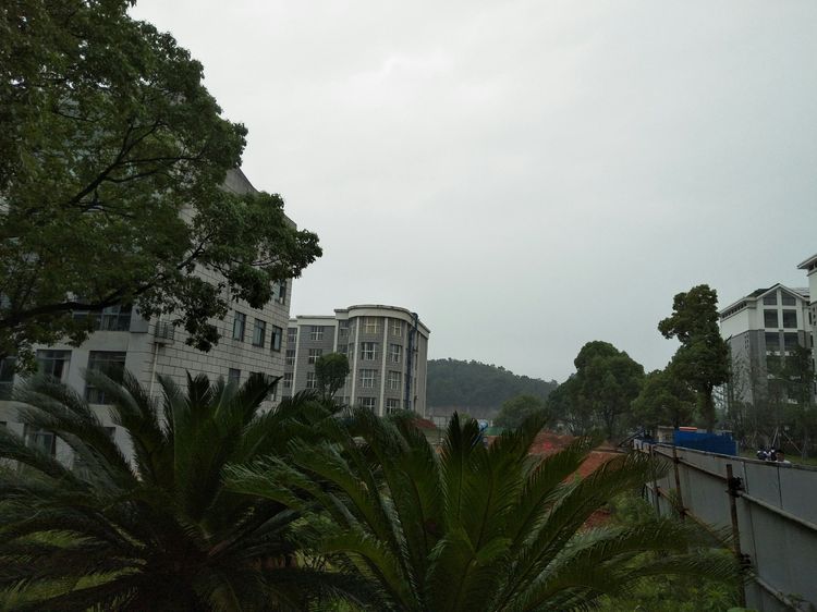 湖南常德市二中新闻,常德市二中高一