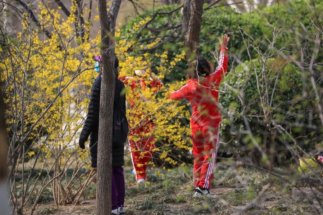 天津市五一新开放的公园,天津地区春暖花开的时间