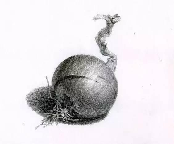 素描不会画实物怎么办,素描静物不会深入刻画