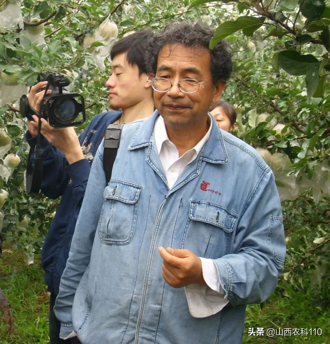 梨园密植管理技术,梨园病虫防治技术视频