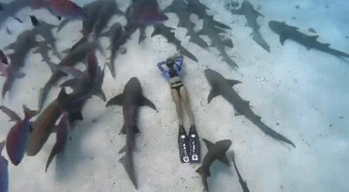 30张活久未见的图片,30组活久见的照片