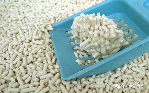 猫咪乱拉乱尿的解决方法,猫咪乱拉屎打了也不改怎么办