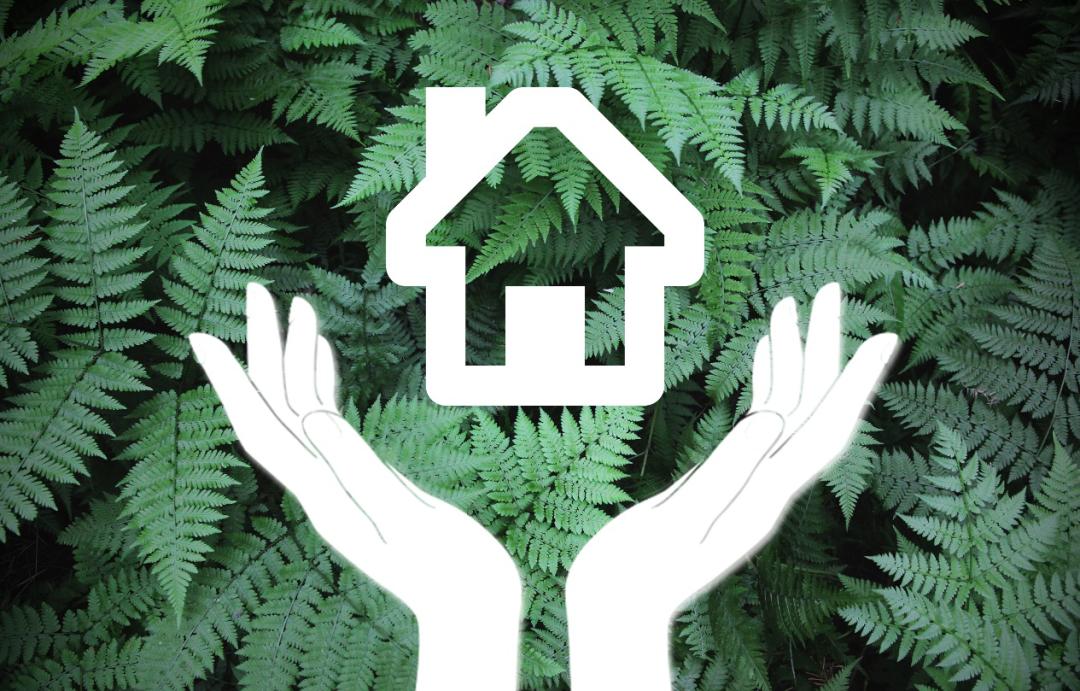 无惧狂沙卷土重来，金茂绿建为家筑起“绿色长城”