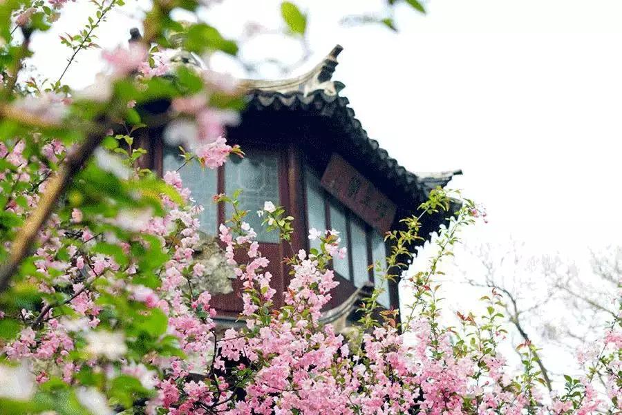 【美文共享】春天，人间皆可爱