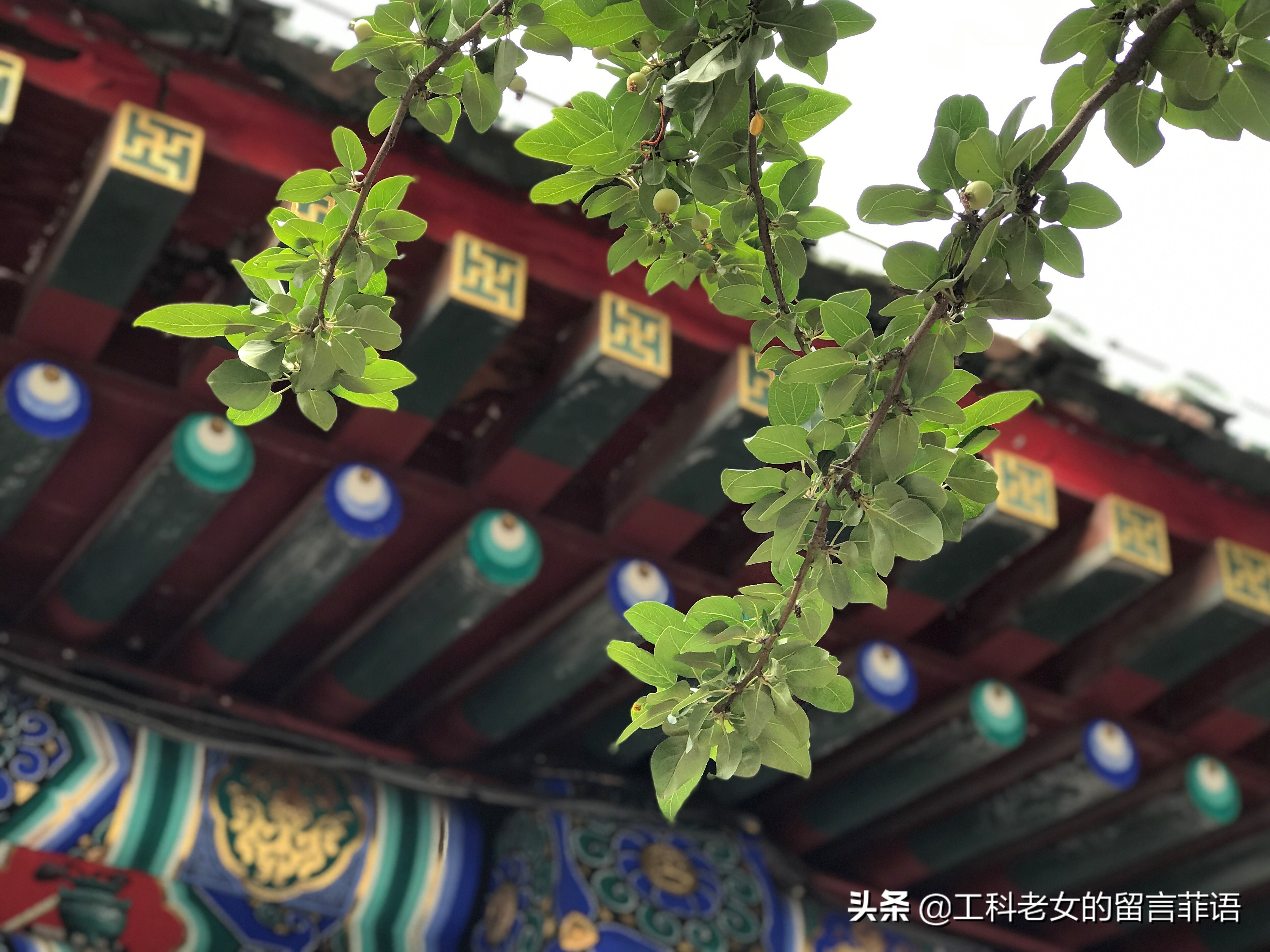 这里是北京之仔仔细细说白塔