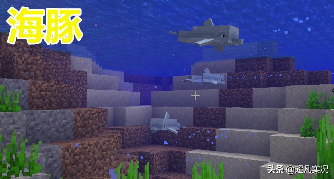 我的世界哪些动物可以驯服当宠物,我的世界有哪些动物可以繁育