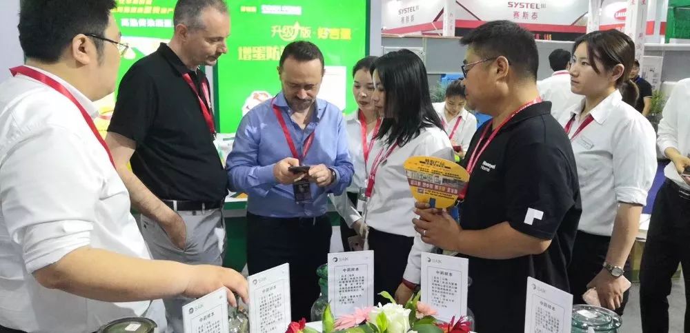 快看!非洲猪瘟终于找到有效的预防方案了,大户都是这样做的