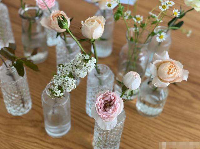 国内网红带货第一主播是谁,带货网红真实收入过亿