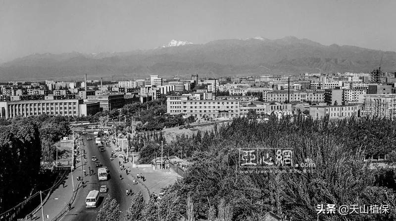 上榜啦！*疆新**鸟市和石市即将被国家命名！未来发展不可估量