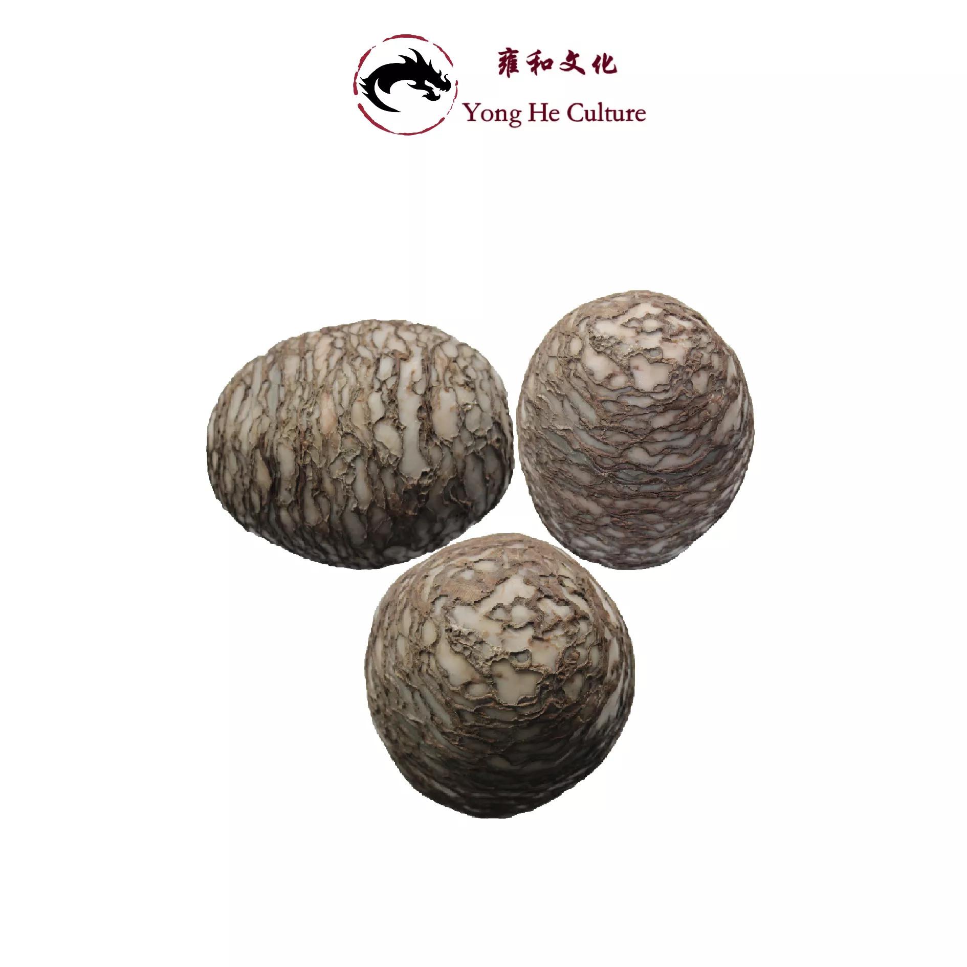 蟒蛇蛋化石最新资料,罕见蟒蛇研究科普