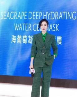 范冰冰2022年靠什么收入,范冰冰能再辉煌吗