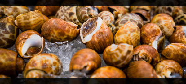 泰旅局发布2019年泰国旅游新玩法,曼谷漫游攻略