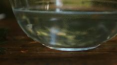 这个季节有了杨梅怎么做杨梅酒,一年一度的杨梅季泡杨梅酒