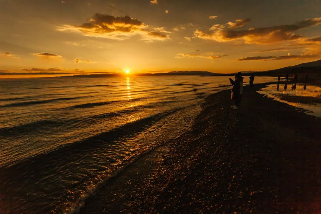 只要你面朝青海湖，八月依旧春暖花开