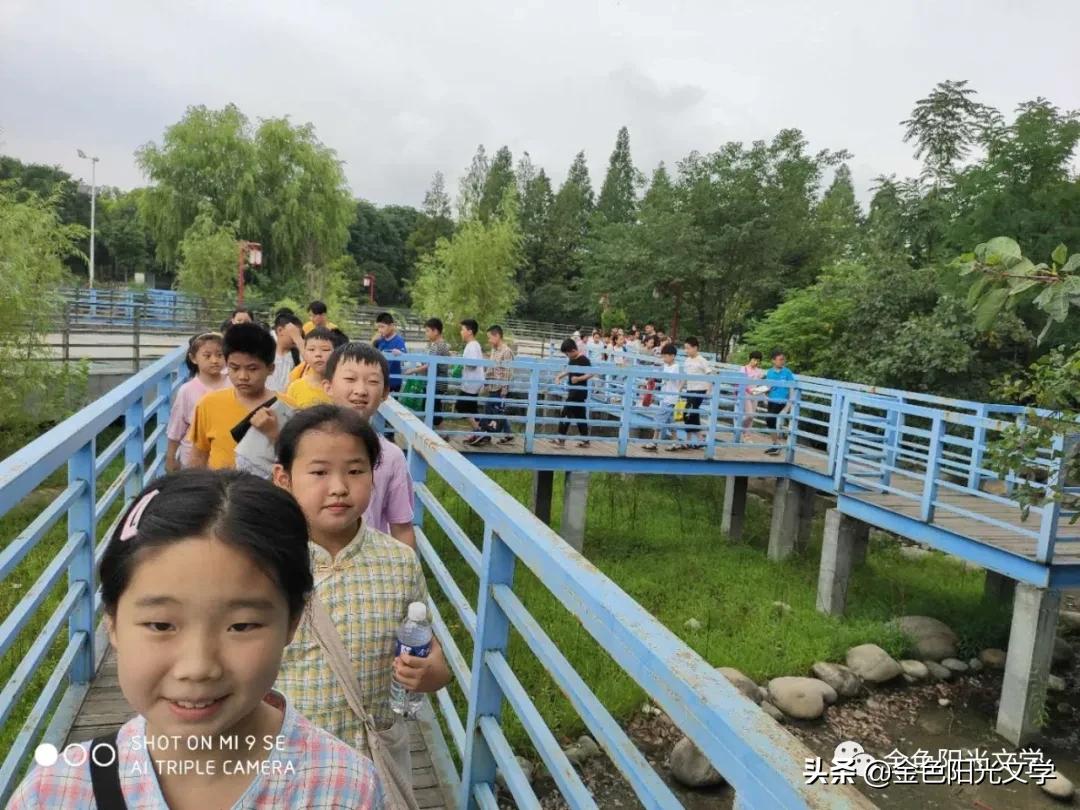 写给孙悟空的一封信,给孙悟空的一封信七年级