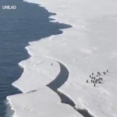 搞笑动图gif微信可爱表情包,搞笑动图gif图片微信