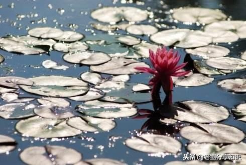 小学语文100多个多音字口诀,小学1-6年级语文多音字整理