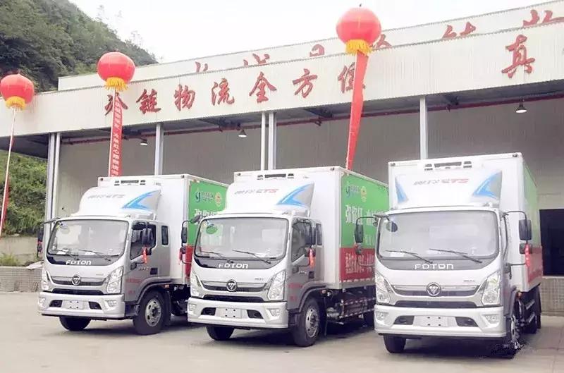 什么情况？“迪拜土豪”新宠来自水城，1000吨！够吗？