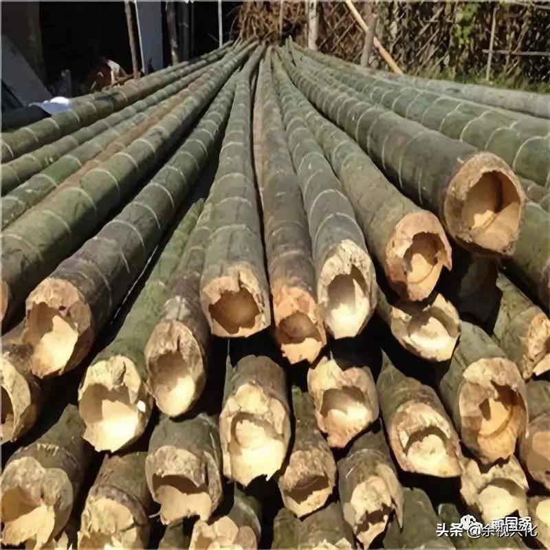 兴化沙沟老字号——张锦贵竹厂